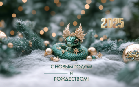 С наступающим Новым годом!