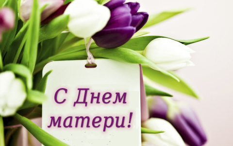 ПОЗДРАВЛЯЕМ С ДНЁМ МАТЕРИ